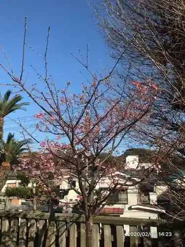 叶神社 (西叶神社)の自然
