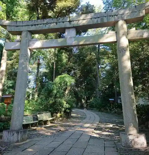 代々木八幡宮の鳥居