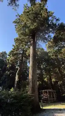 熱日高彦神社(宮城県)