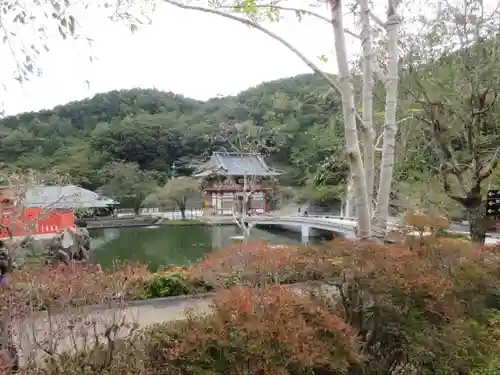 勝尾寺の庭園