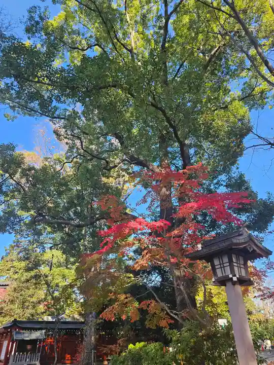 武蔵一宮氷川神社(埼玉県)