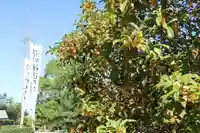 滑川神社 - 仕事と子どもの守り神の庭園