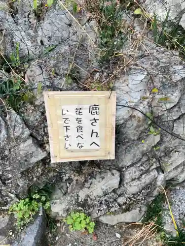 金生山 明星輪寺(岐阜県)