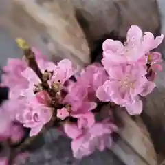 豊景神社(福島県)