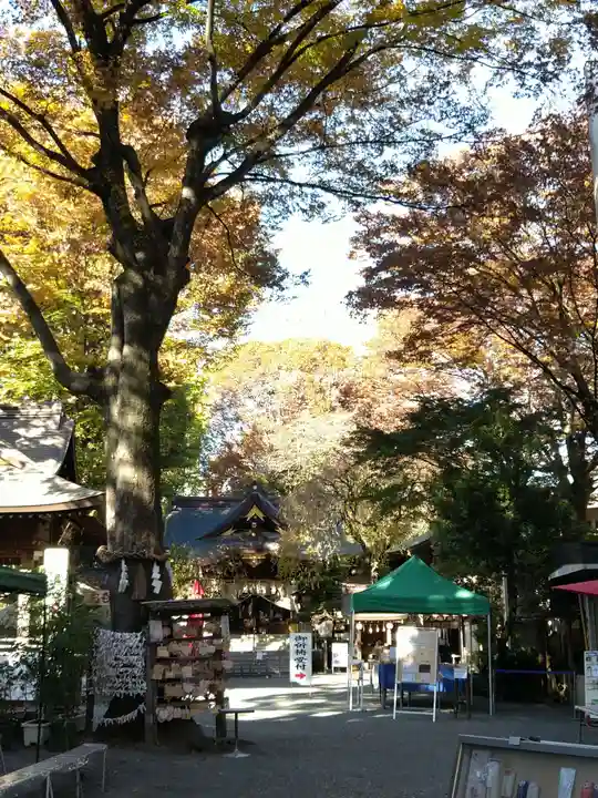 子安神社のその他建物
