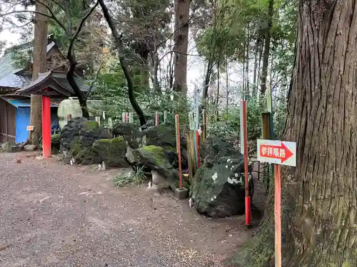 渋川八幡宮(群馬県)