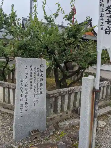 乙津寺　（鏡島弘法）の自然