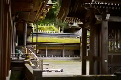 諏訪大社(長野県)