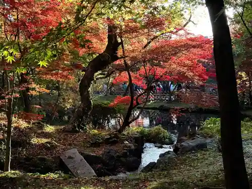 禅林寺（永観堂）(京都府)