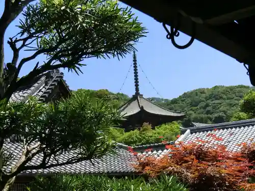 根来寺のその他建物