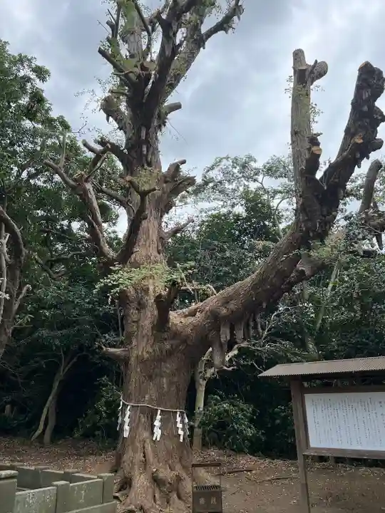 鎌数伊勢大神宮(千葉県)