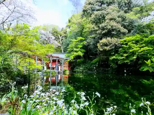 富士山本宮浅間大社の庭園