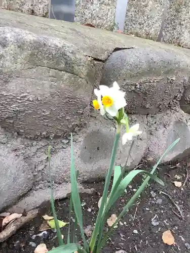 神明社（露橋神明社）の自然