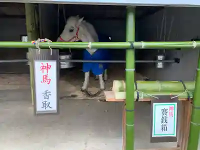 大和国鹿島香取本宮(奈良県)