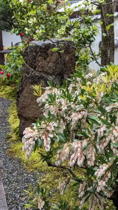 玄忠院(京都府)