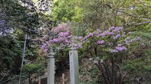 霊山寺の自然