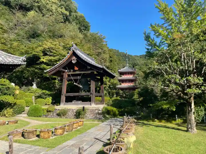 三室戸寺(京都府)