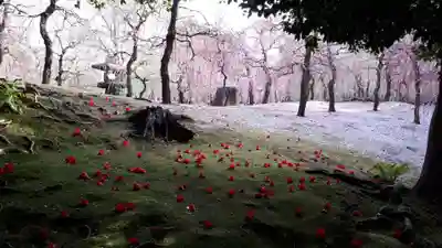 城南宮(京都府)