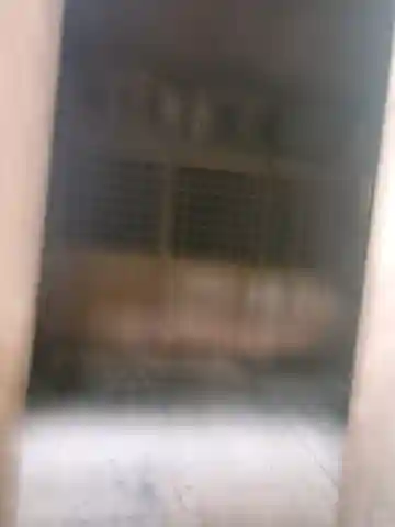 諏訪神社/文殊堂の本殿・本堂