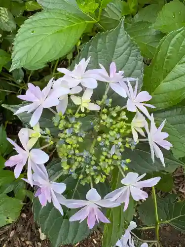 市杵島神社（高萩八幡宮境内社）(茨城県)