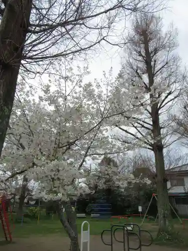 龍ケ崎八坂神社(茨城県)