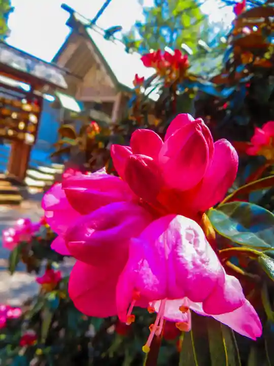 白石神社の自然