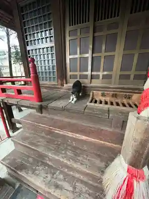 小坂子八幡神社(群馬県)