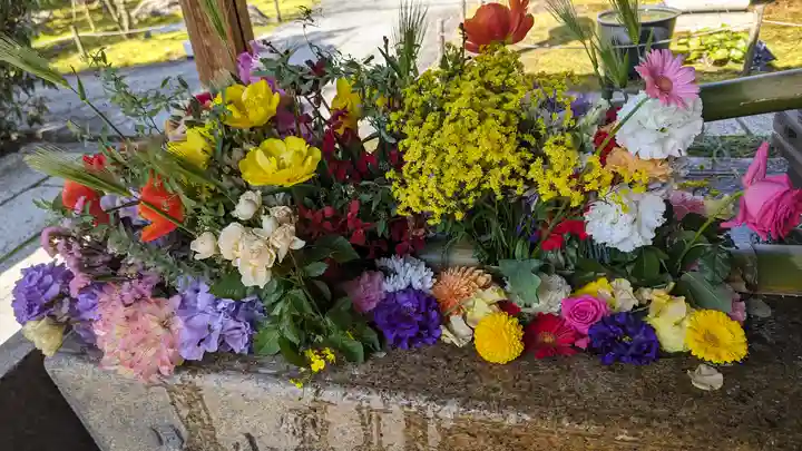 勝林寺(京都府)