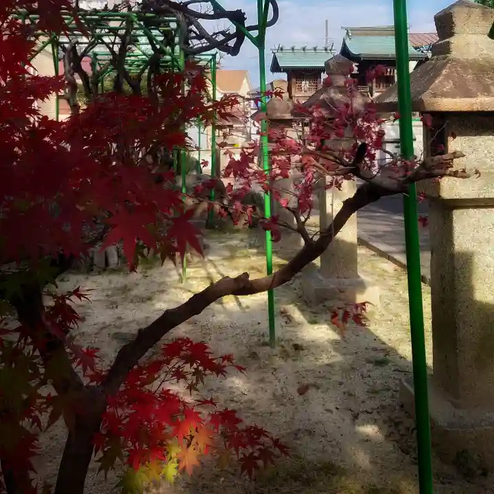 秋葉神社の自然