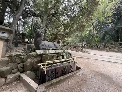 春日大社の{uncategorized: "未分類", other: "その他", undefined: "問題あり", building: "その他建物", grave: "お墓", sacred_gate: "鳥居", guardian: "狛犬", statue: "像", buddha: "仏像", history: "歴史", nature: "自然", garden: "庭園", animal: "動物", pagoda: "塔", temizu: "手水舎", mountain_gate: "山門・神門", sanctuary: "本殿・本堂", subordinate: "末社・摂社", art: "芸術", scenery: "景色", jizo: "地蔵", ema: "絵馬", goshuin: "御朱印", omikuji: "おみくじ", items: "授与品その他", amulet: "お守り", goshuincho: "御朱印帳", eats: "食事", festival: "お祭り", votive_dance: "神楽", shichigosan: "七五三参", wedding: "結婚式", experience: "体験その他", initially: "初詣", around: "周辺", anti_infection: "感染症対策"}