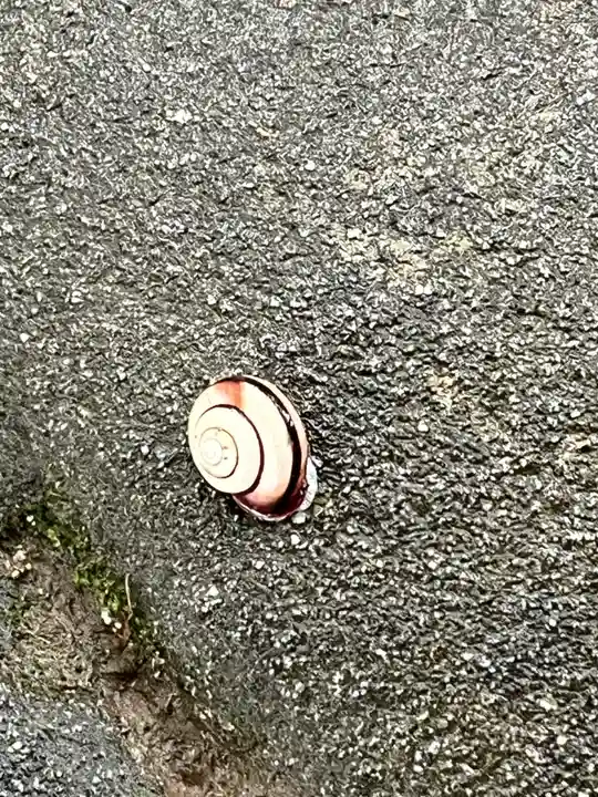 手向山八幡宮(奈良県)