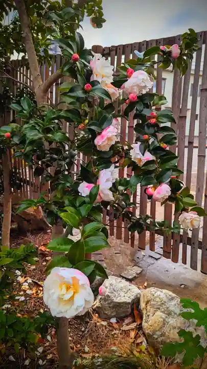 菊田神社の自然