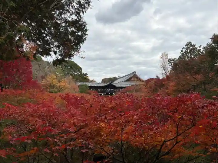 東福禅寺(東福寺)(京都府)