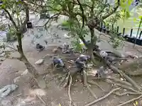 旗上弁財天社の動物