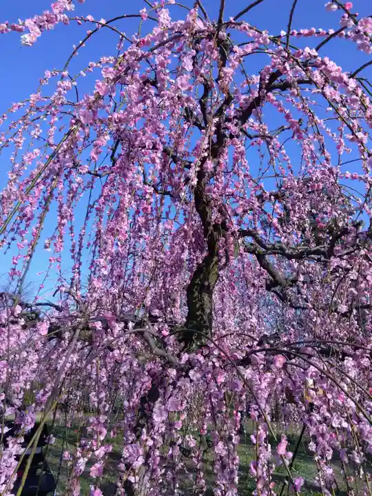 花乃丘神社(三重県)
