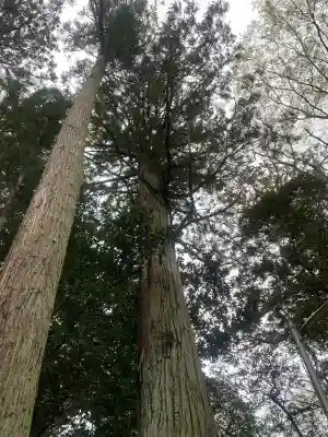 成田熊野神社の{uncategorized: "未分類", other: "その他", undefined: "問題あり", building: "その他建物", grave: "お墓", sacred_gate: "鳥居", guardian: "狛犬", statue: "像", buddha: "仏像", history: "歴史", nature: "自然", garden: "庭園", animal: "動物", pagoda: "塔", temizu: "手水舎", mountain_gate: "山門・神門", sanctuary: "本殿・本堂", subordinate: "末社・摂社", art: "芸術", scenery: "景色", jizo: "地蔵", ema: "絵馬", goshuin: "御朱印", omikuji: "おみくじ", items: "授与品その他", amulet: "お守り", goshuincho: "御朱印帳", eats: "食事", festival: "お祭り", votive_dance: "神楽", shichigosan: "七五三参", wedding: "結婚式", experience: "体験その他", initially: "初詣", around: "周辺", anti_infection: "感染症対策"}