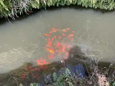 銭洗弁財天宇賀福神社(神奈川県)