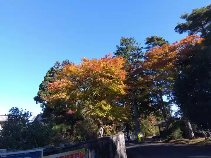 宮城縣護國神社の自然