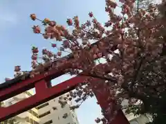 亀戸天神社の鳥居