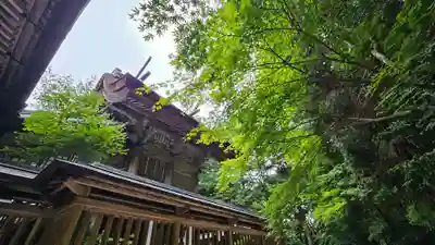 玉作湯神社(島根県)