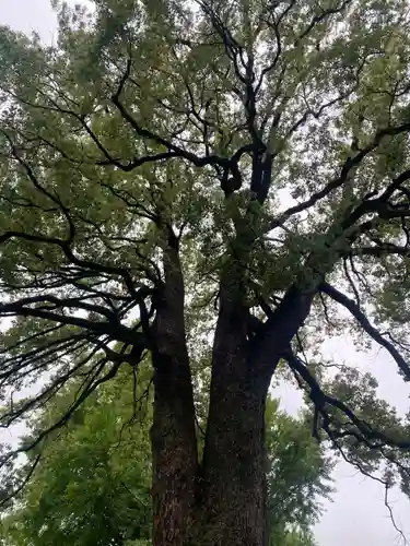 冠稲荷神社(群馬県)
