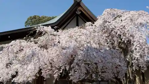 氷室神社の自然