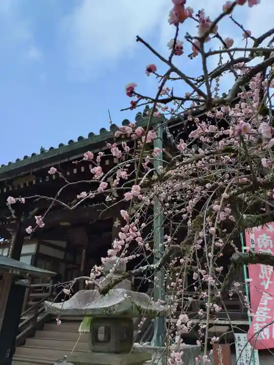 今熊野観音寺(京都府)