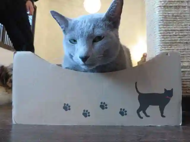 晴明神社(京都府)