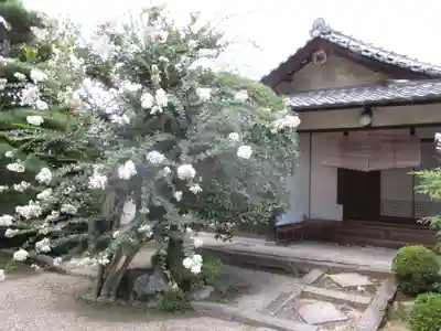 法輪寺(奈良県)