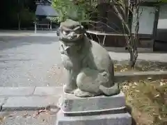 天照御祖神社の狛犬