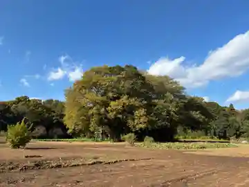 神明神社(千葉県)
