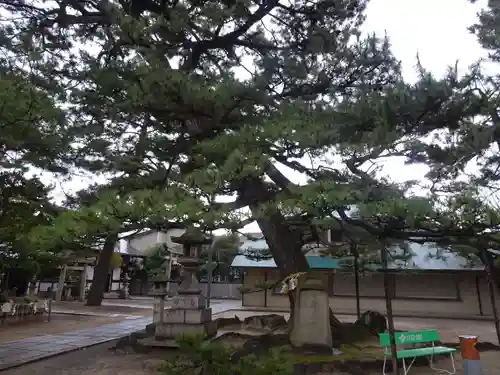 弥栄神社(大阪府)