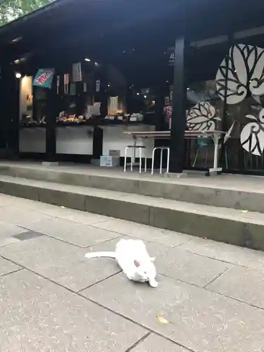 愛宕神社の動物