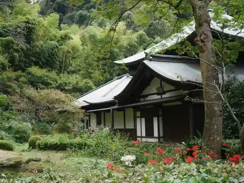 瑞泉寺の本殿・本堂